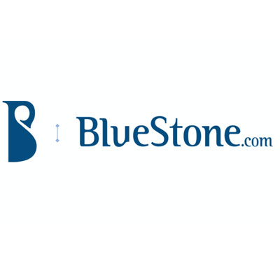 BlueStone appoints Arvind Singhal as chief operating officer