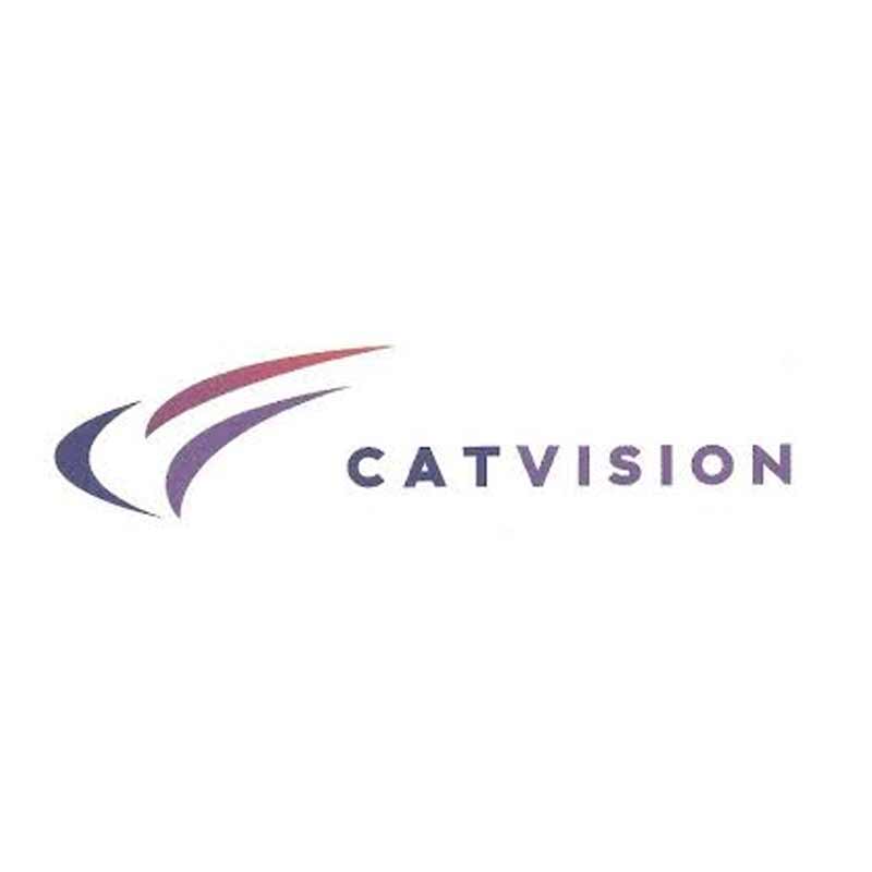 Catvision undergoes restructuring