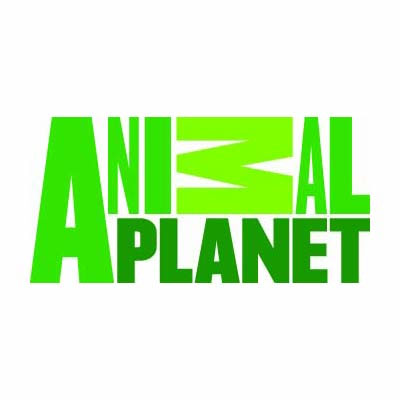 Dive with Deadliest Sharks and Discover some lesser-known animals on Animal Planets marvellous