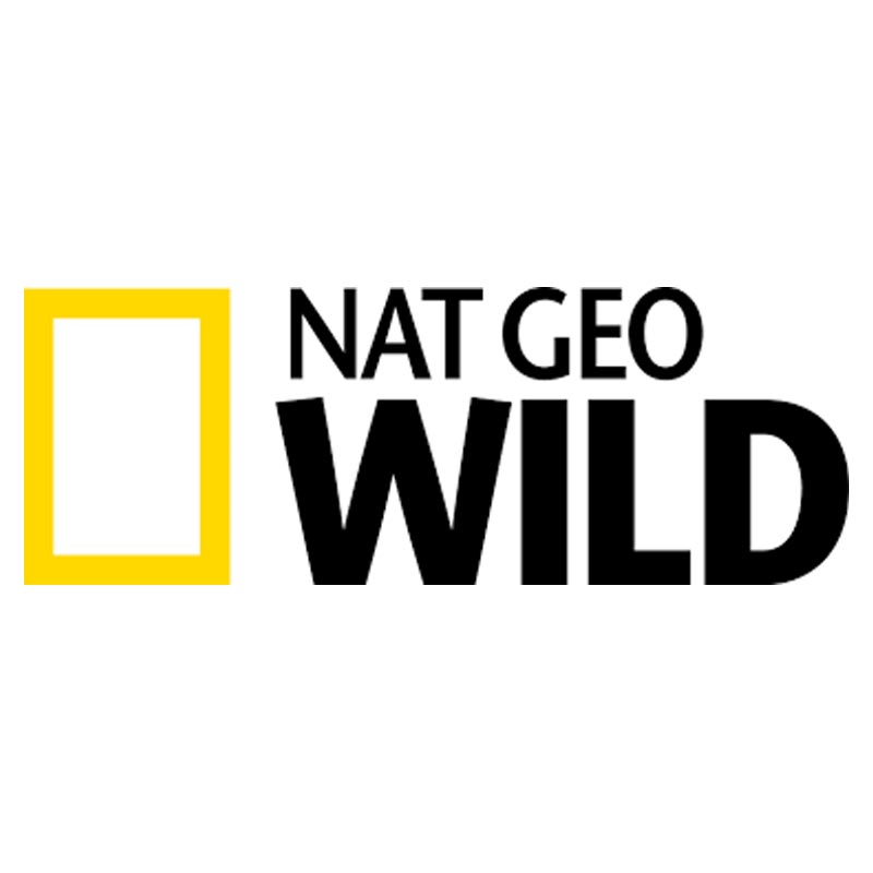 Nat Geo Wild to launch on Singapore pay TV platform StarHub