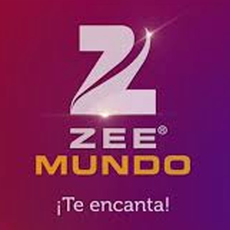 Zee English and Movies launched