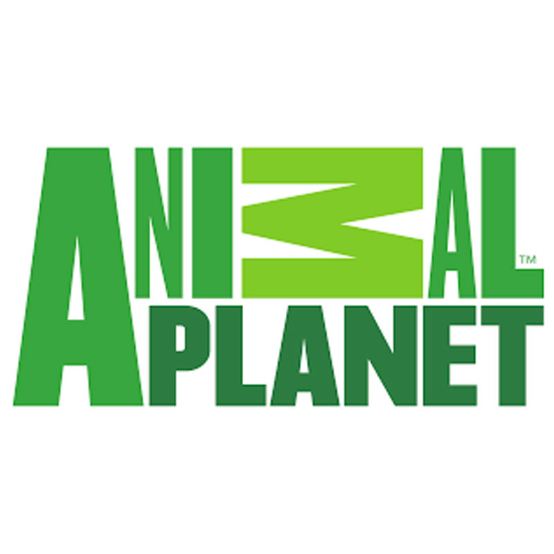 Animal Planet goes to the movies