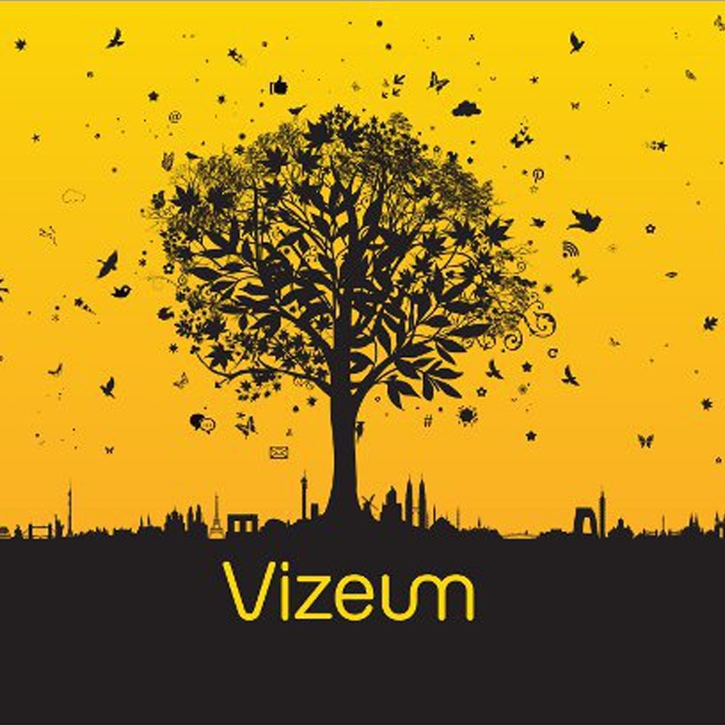 Vizeum India bags X S Real’s media biz