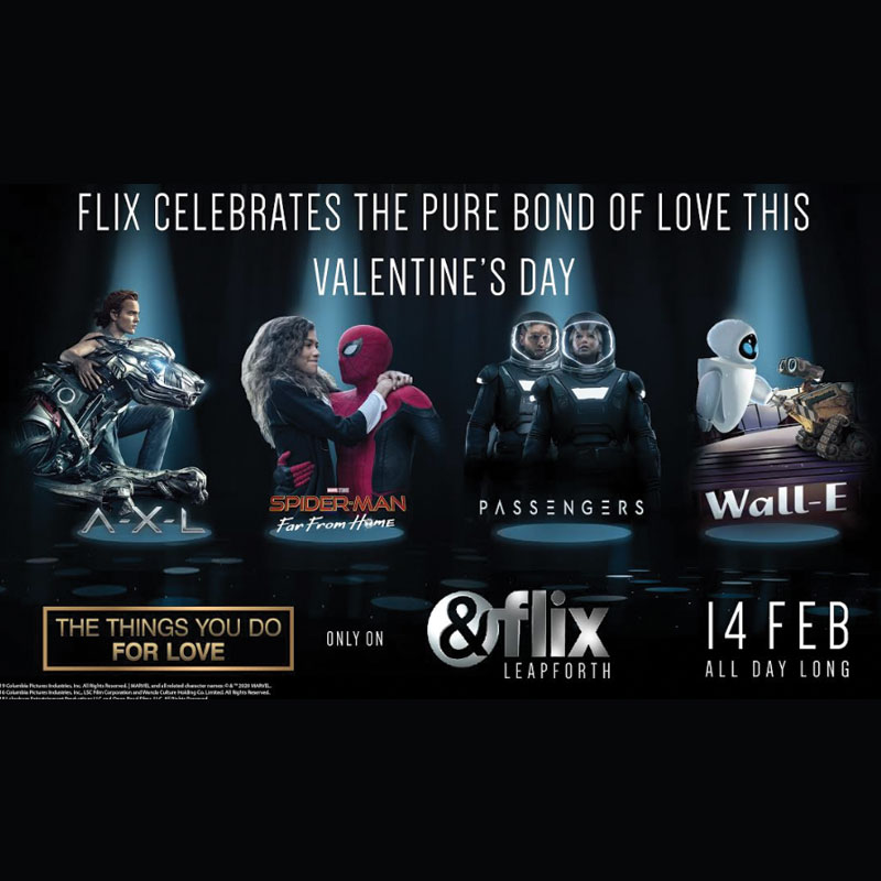 This Valentine’s Day, Zee English cluster celebrates love in all its hues with three special binges!
