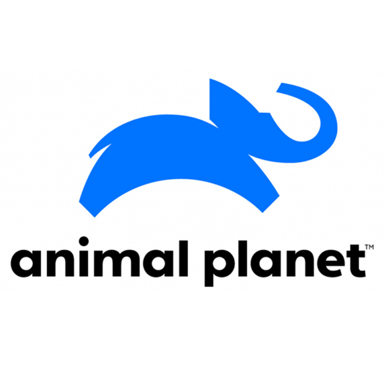 Animal Planet refreshes programming line-up, launches Tamil audio feed & Hindi YouTube channel