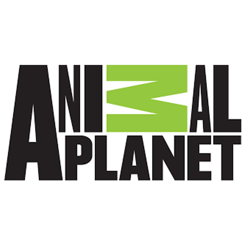 Animal Planet sharpens focus on conservation with a brand-new philosophy ‘Humans Like Us’.