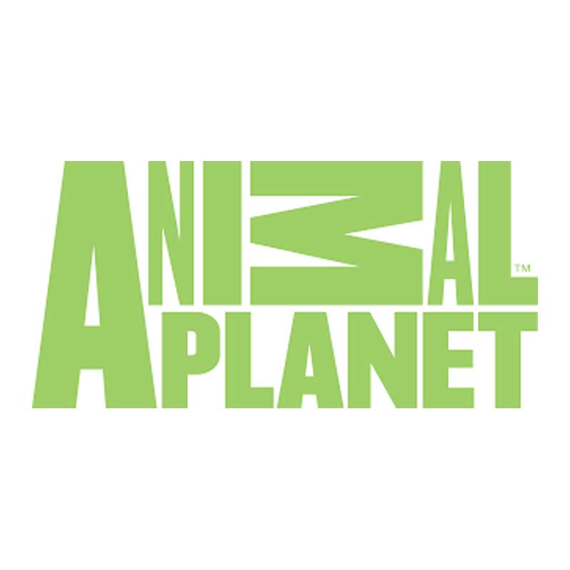 The Irwin Family -Terri, Bindi and Robert – come home to Animal Planet in ‘CRIKEY! IT’S THE IRWINS’ which premiers in India on November 15 at 9 PM IST