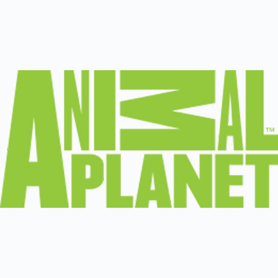 The Closest, Deadliest Encounters