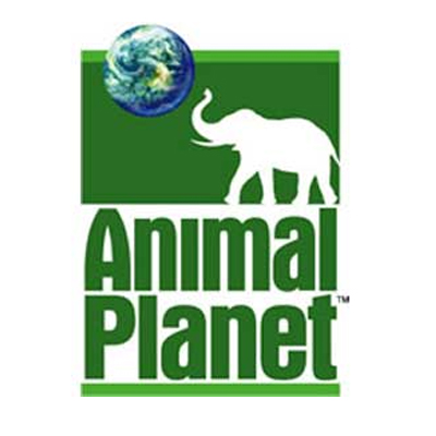 Animal Planet celebrates World Environment Day on 5 June