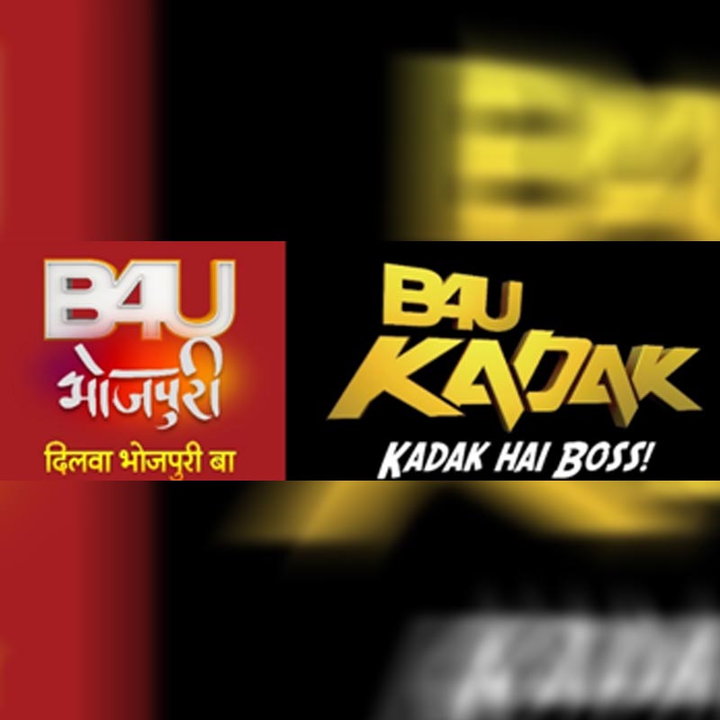 B4U Kadak in the HSM market & B4U Bhojpuri in the regional market both leading in their respective genres
