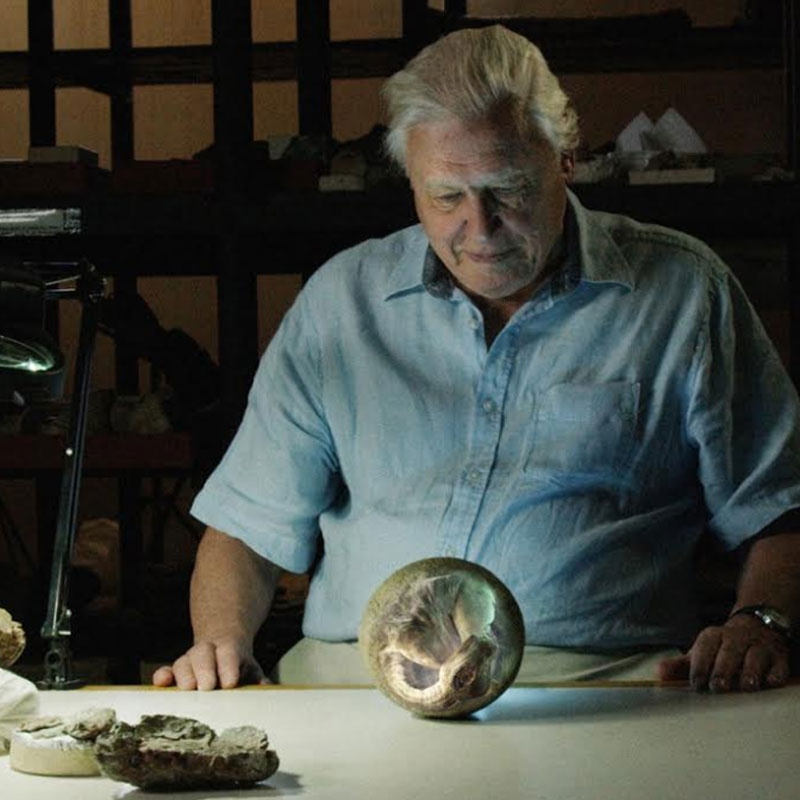 Attenborough and the Giant Dinosaur premiers march 11 on Sony BBC Earth