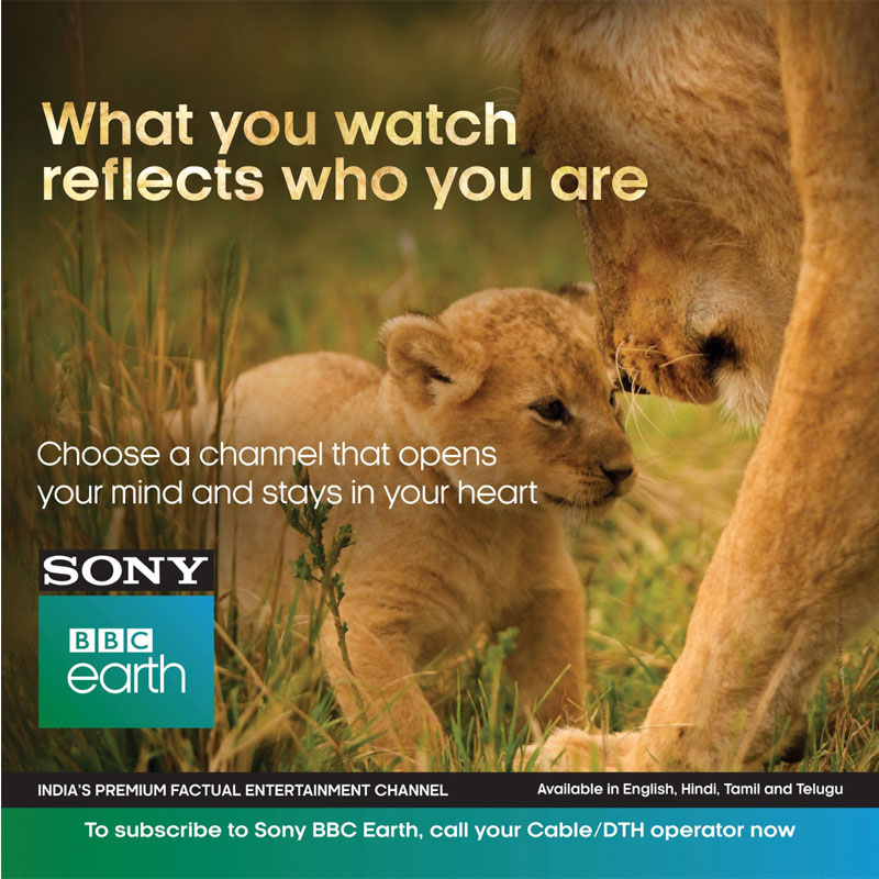 Sony BBC Earth scripts success with programming and marketing innovations in 2020
