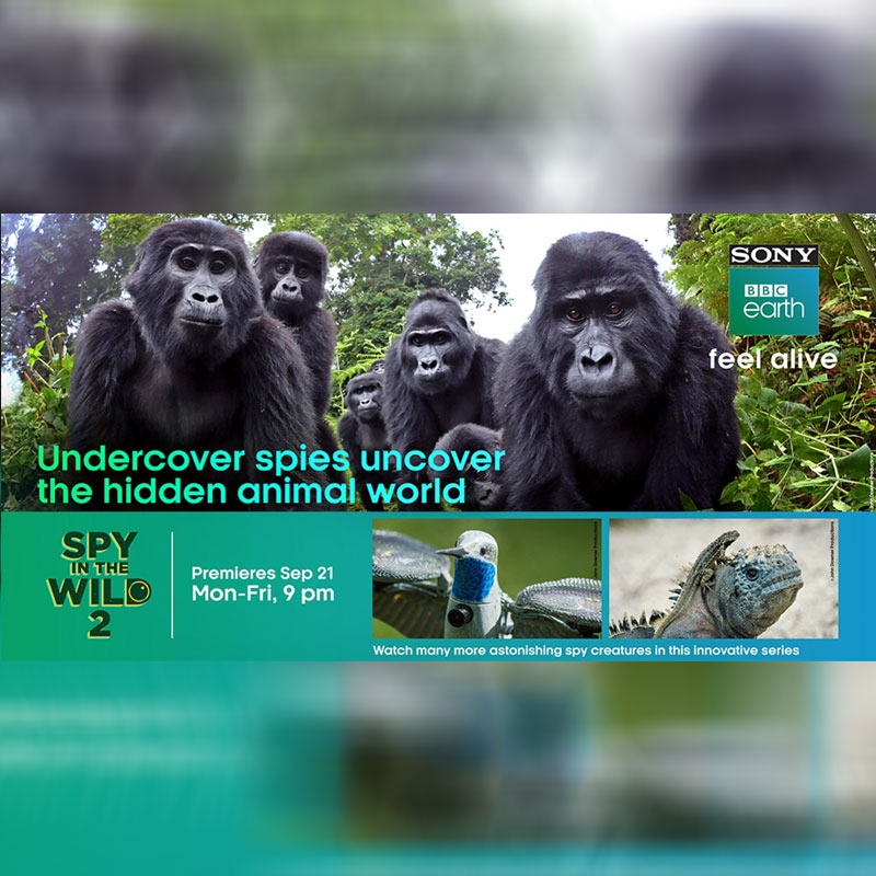 Cutting-edge, robotic, animal spies infiltrate the wild again in Sony BBC Earth’s premiere ‘Spy in the Wild 2’