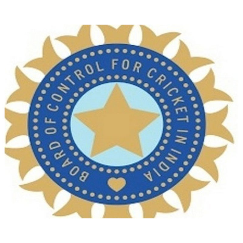 BCCI appoints Hemang Amin as interim CEO
