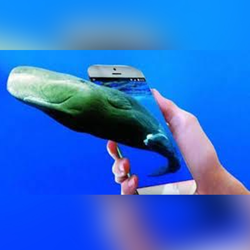 SC tells DD to air show warning about Blue Whale