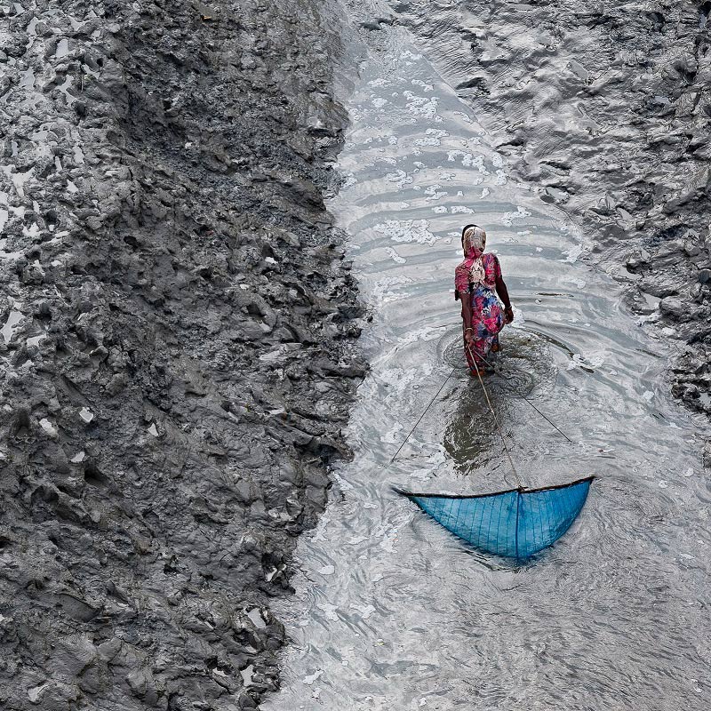 Bomanbridge brings Yann Arthus-Bertrand docs to Asia