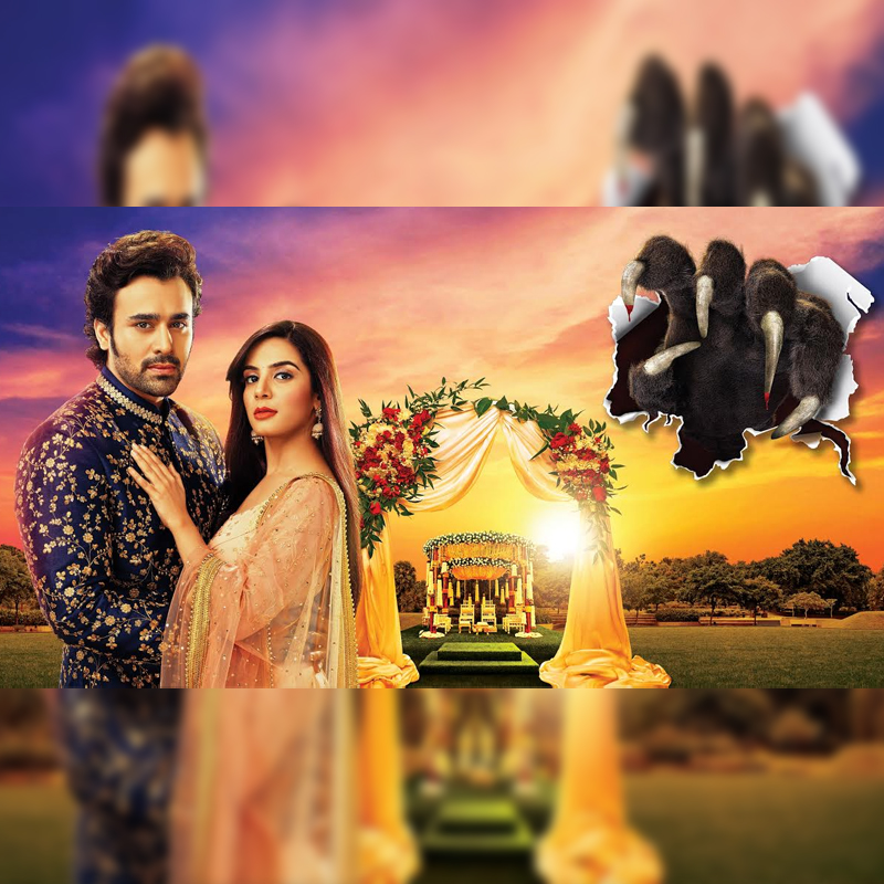 Zee TV is back with season 2 of fantasy thriller ‘Brahmarakshas’