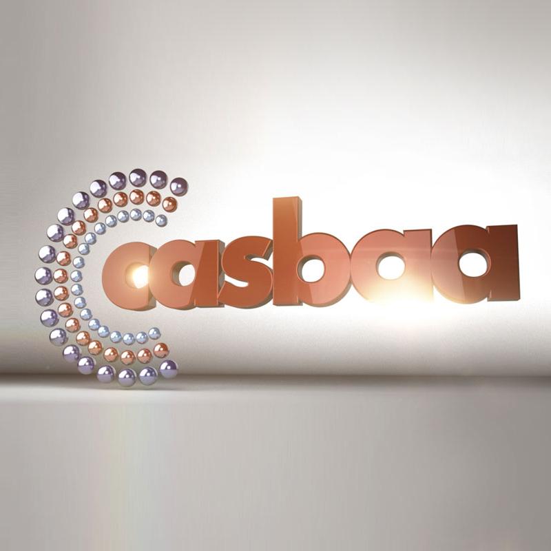 Casbaa Satellite Industry Forum 2016: Seizing new growth opportunities amidst technological and economic changes
