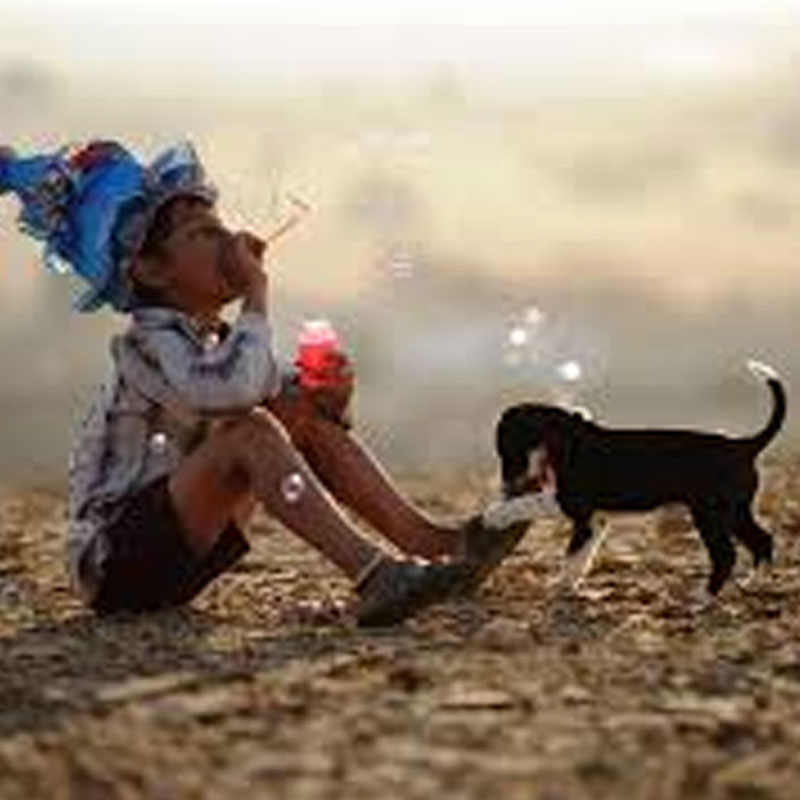 Dekh Indian Circus to open Indian Film Festival in Stuttgart