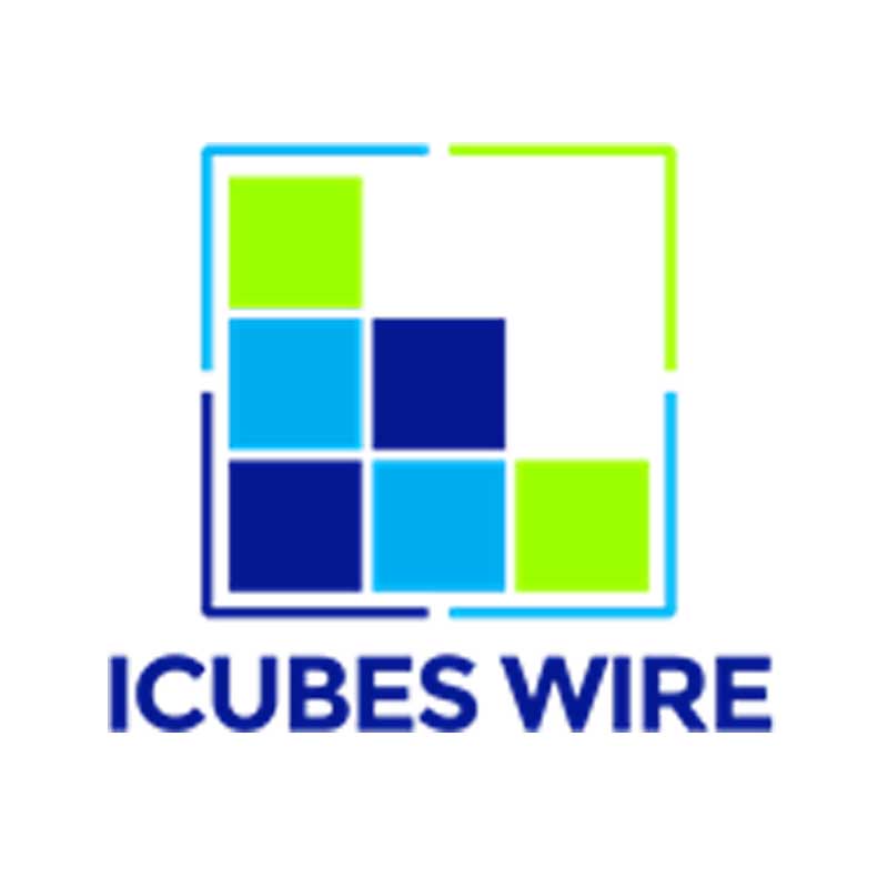 iCubesWire bags digital mandate for Singer India
