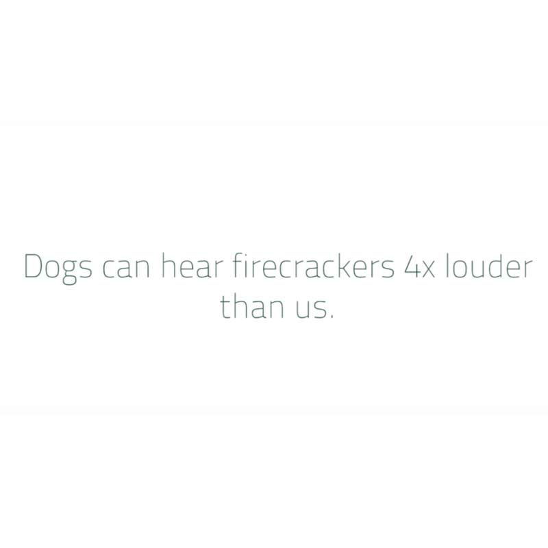 Greenply urges people to go noise free this Diwali