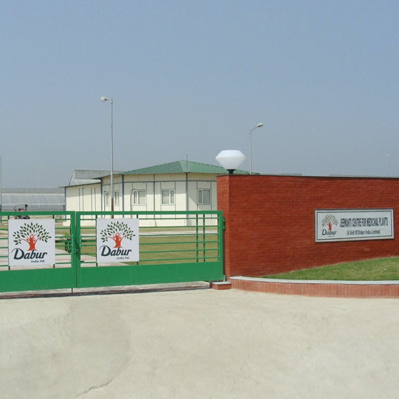 Dabur ad spends subdued in fiscal 2017