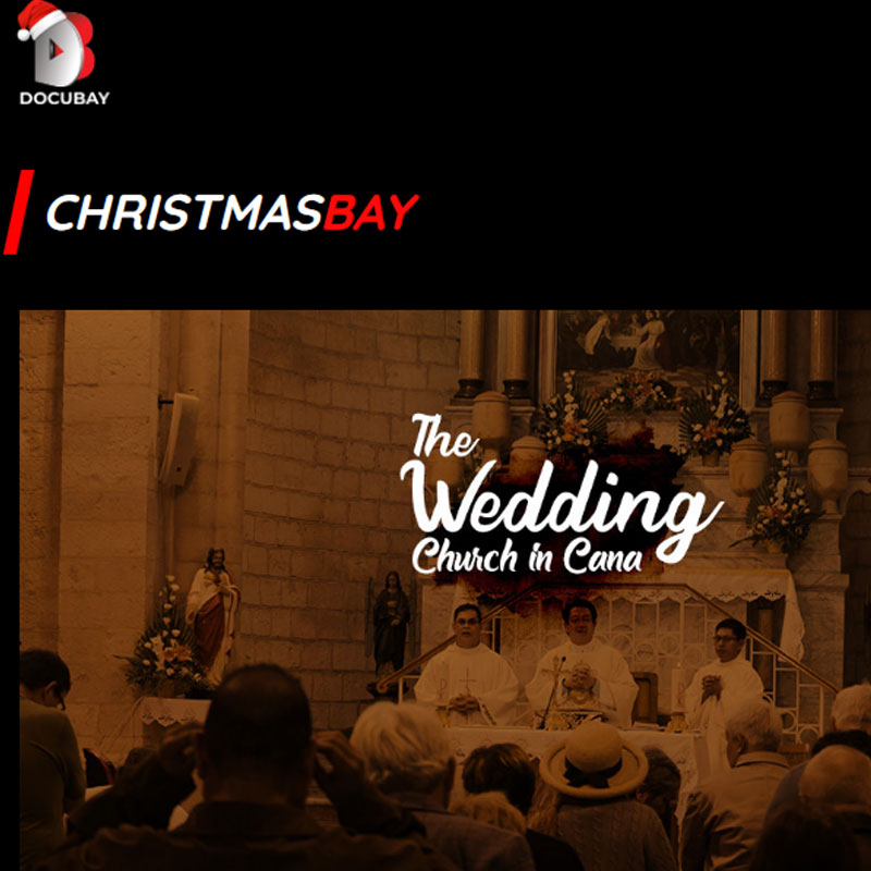 DocuBay gets into Xmas mood; launches 14 days free trial