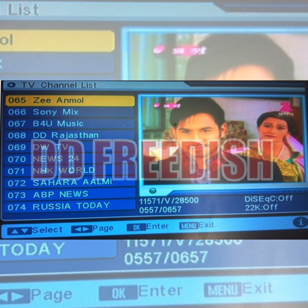 Eight TV channels win Freedish slots, bid price goes above Rs 5 cr