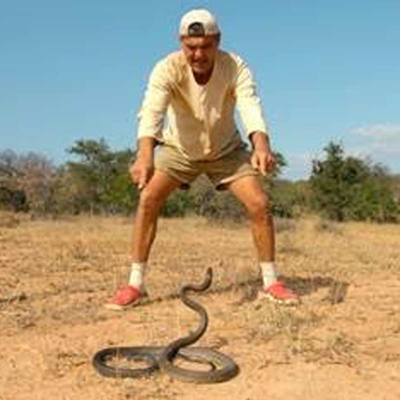 Discovery Channel to premiere Wild Frank-Black Mamba Frank Cuesta returns to Africa to confront the most lethal snake on the planet