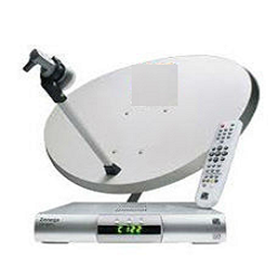 How DTH got digitisation right