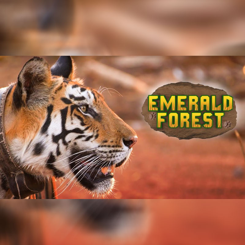 EPIC channel to launch docu-series ‘Emerald Forest’ on 21 March