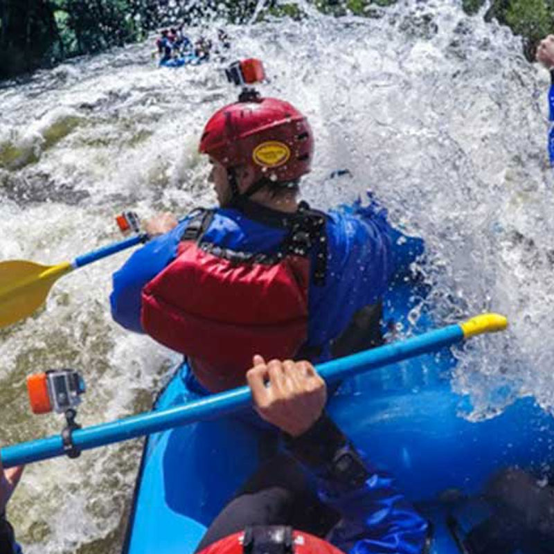 American Film Market sees 6% growth