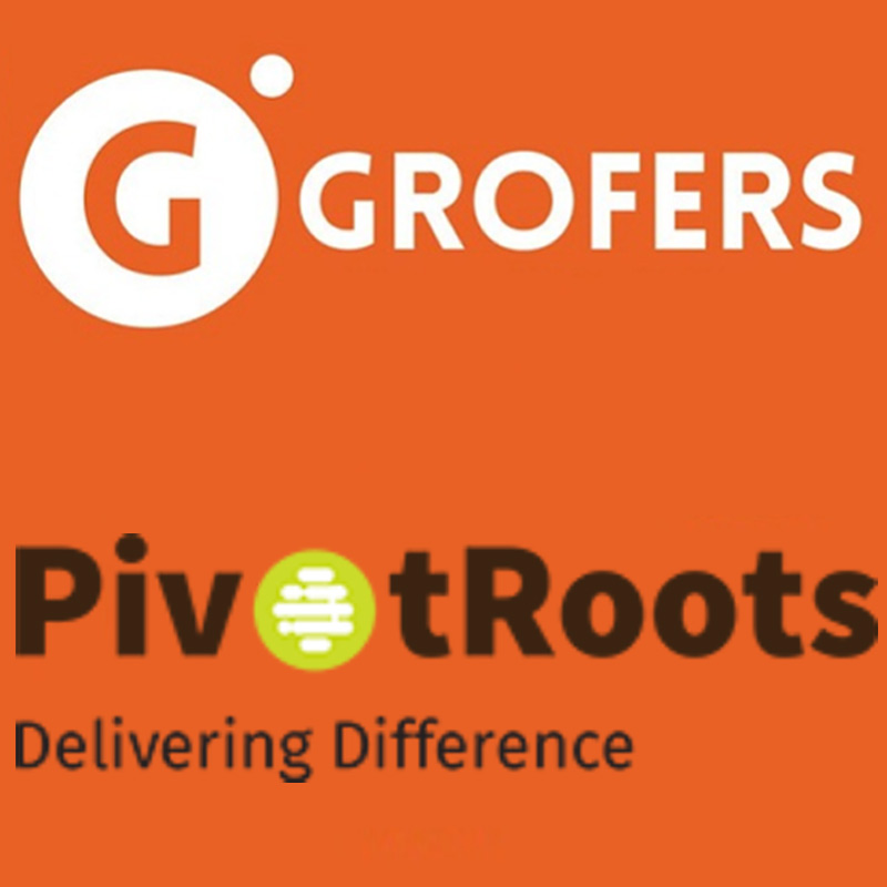Grofers awards programmatic mandate to PivotRoots