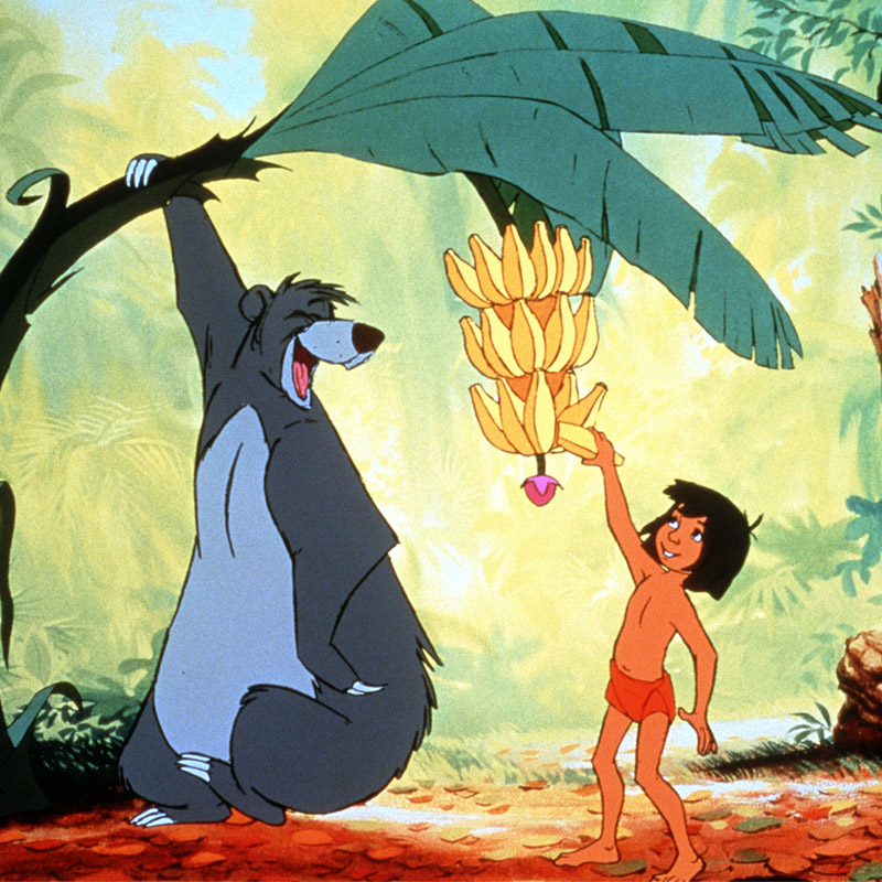 Doordarshan brings Jungle Books during lock-down