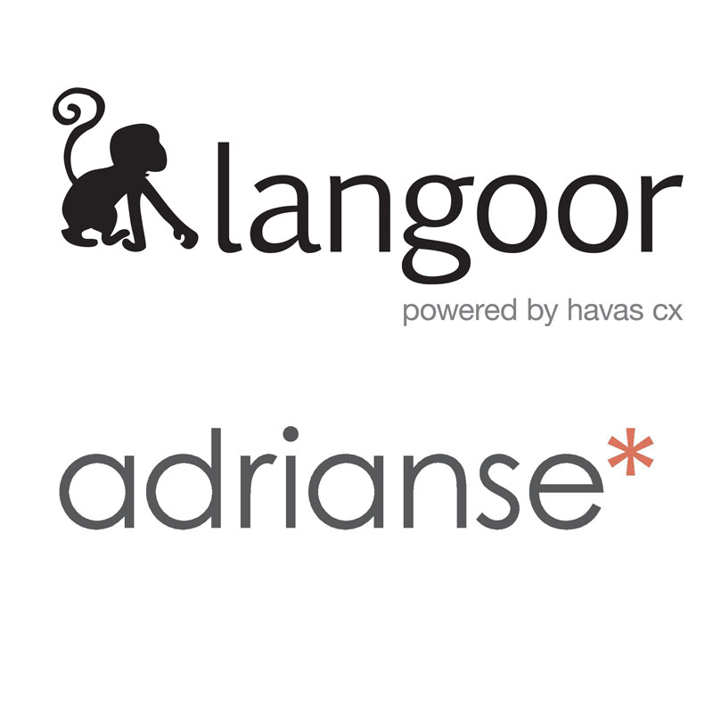 Langoor Havas bags digital mandate for Adrianse Global