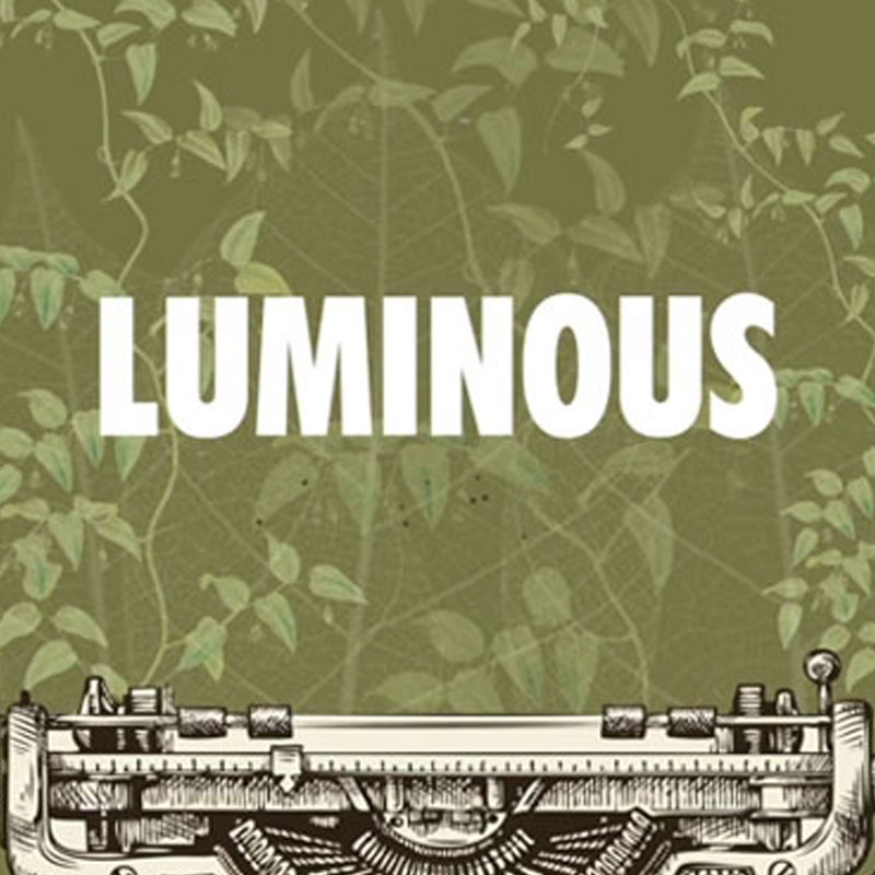 Luminous & 82.5 Instil Hope on World Environment Day