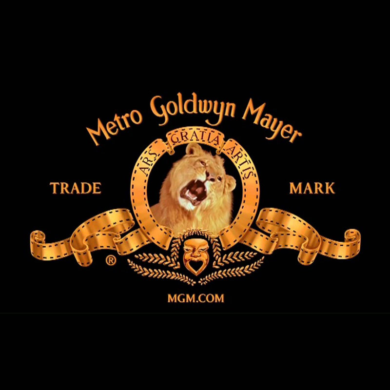 MGM Studios explores prospect of sale