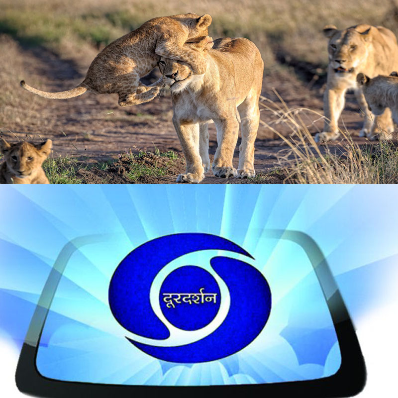 Discovery-like Doordarshan channel recommended to environment ministry