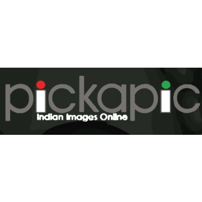 Launching Pickapic.in, a platform for truly desi vectors and pictures