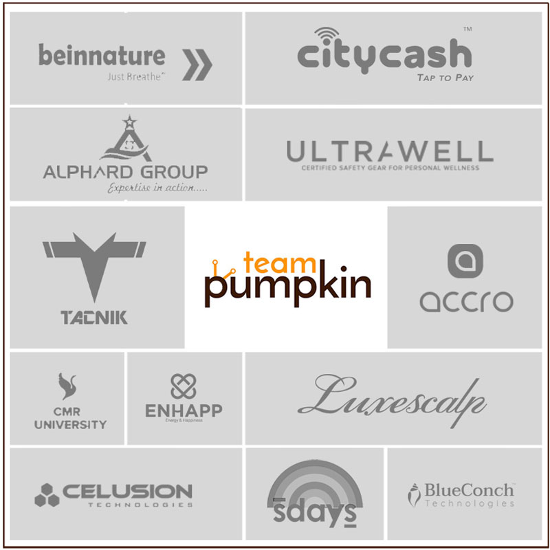 Team Pumpkin bags 12 new mandates amidst Covid2019 lockdown