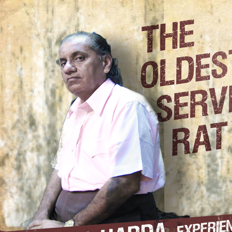 Documentary on Rat killers releasing 20 April