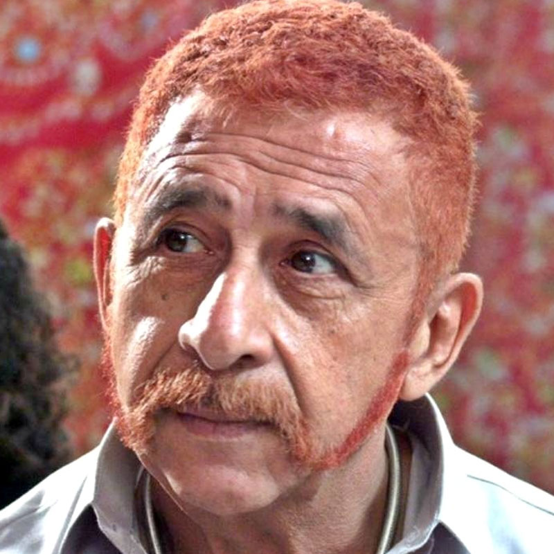Naseerudin Shah in Pakistani film Zinda Bhaag