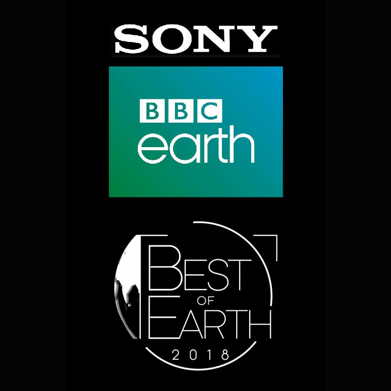 For the first time, viewers get to choose their favourite shows on Sony BBC Earth