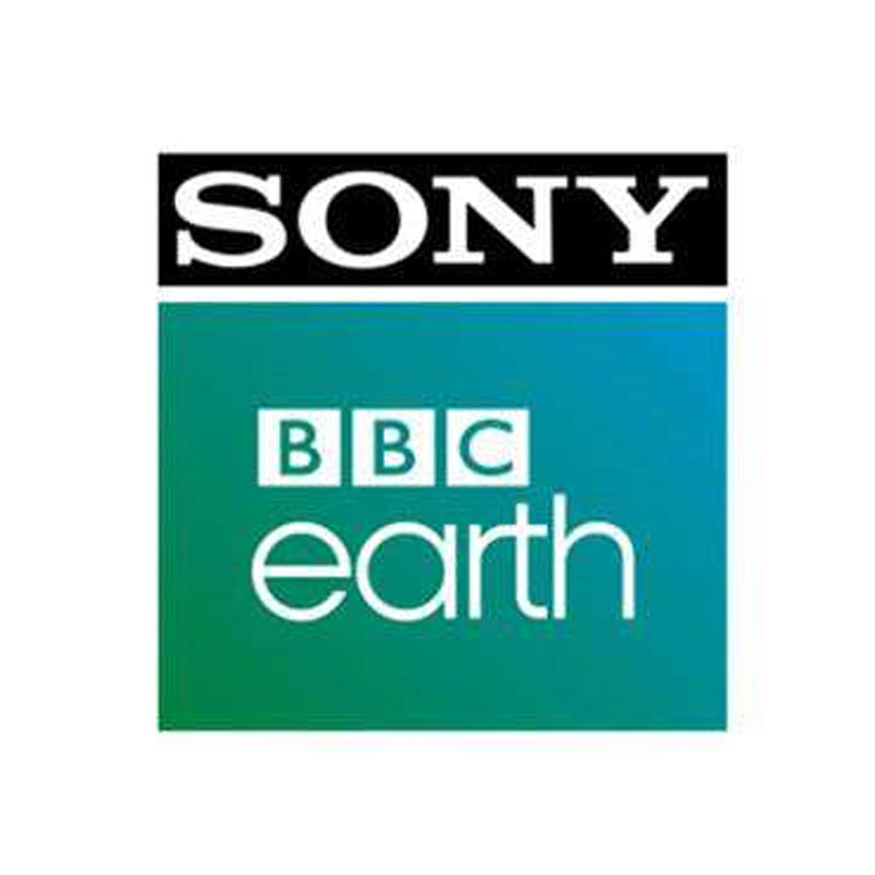 Sony BBC Earth and The Lil Flea come together for the first time to celebrate everything ‘Earth’