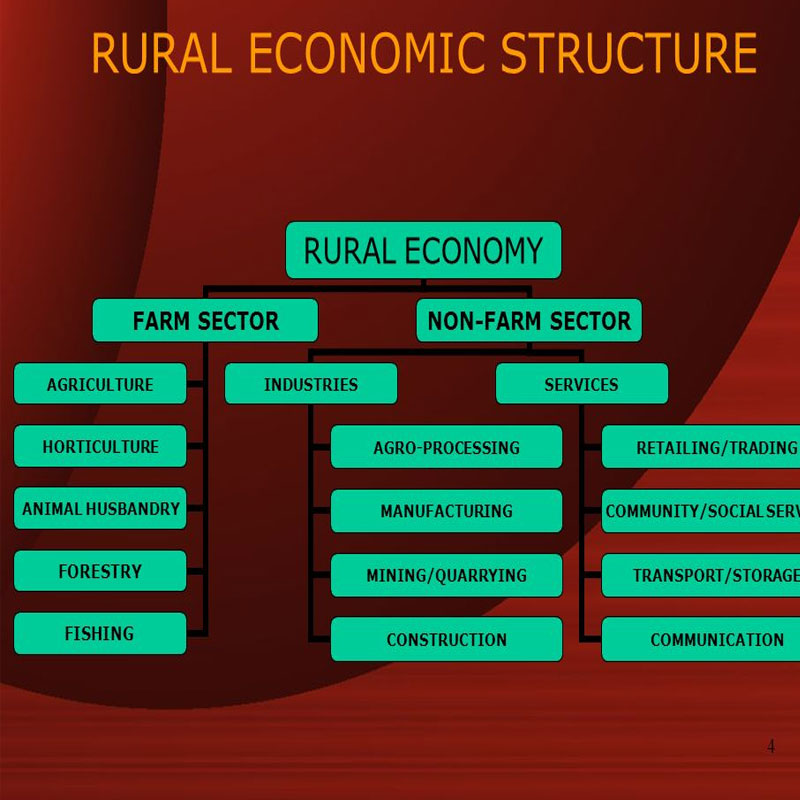 Regional TV: The land of opportunities and challenges
