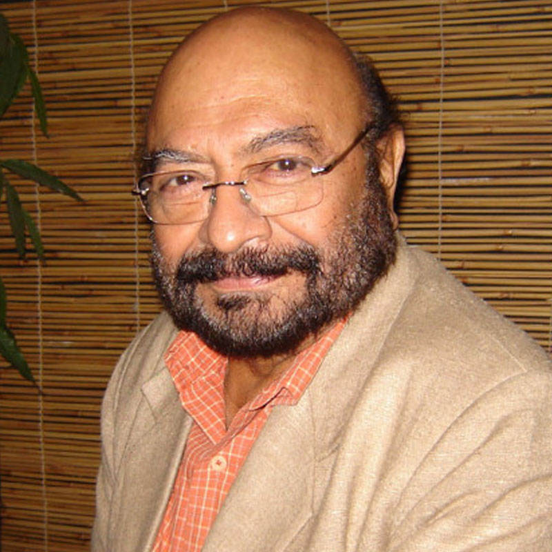 Govind Nihalani turns to animation films
