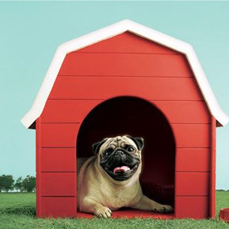Vodafone brings back the Pug in AR