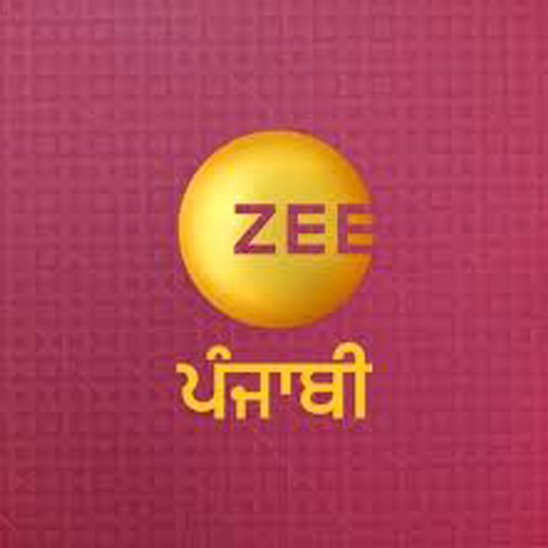 Audience wants light-hearted content, we deliver: Zee Punjabi