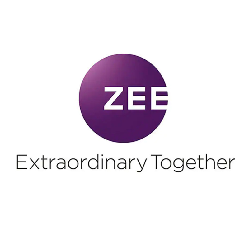 Fresh content, new subscribers vital for long-term growth: Zeel