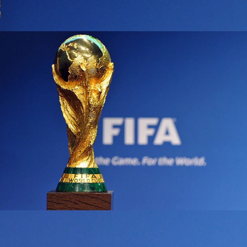 Fifa World Cup’s mascot is a cheeky lion